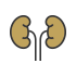 신장내과 아이콘