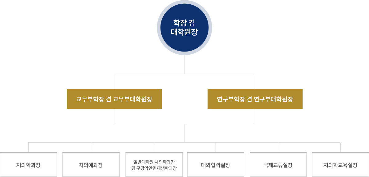 학장 겸 대학원장, 교무부학장 겸 교무부대학원장, 연구부학장 겸 연구부대학원장, 치의학과장, 치의 예과장, 일반대학원 치의학과장 겸 구강악안면재생학과장, 대외협력실장, 국제교류실장, 치의학교육실장